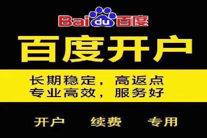 竞价推广公司案例：揭秘成功背后的秘密